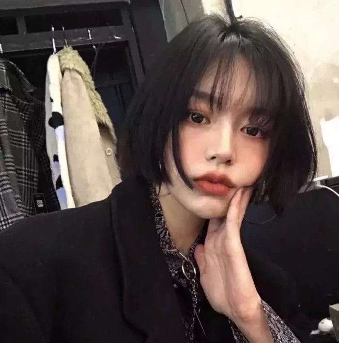 哈啰!毛小孩